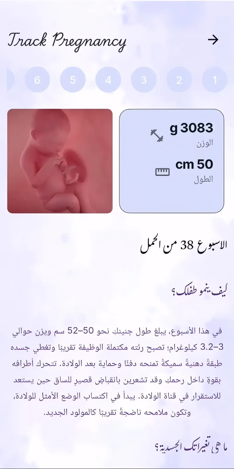 BloomBelly pregnancy tracker — week selector with the baby's weight and length